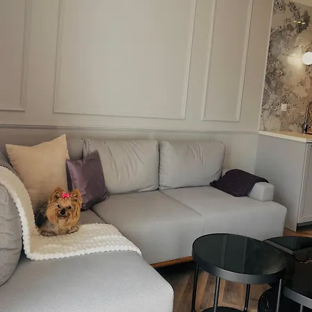 Downtownapartments Podpromie Kate Appartement